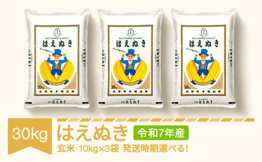 新米 米 30kg 10kg×3 はえぬき 玄米 令和7年産 2026年1月下旬 mk-haxxa30-g1c