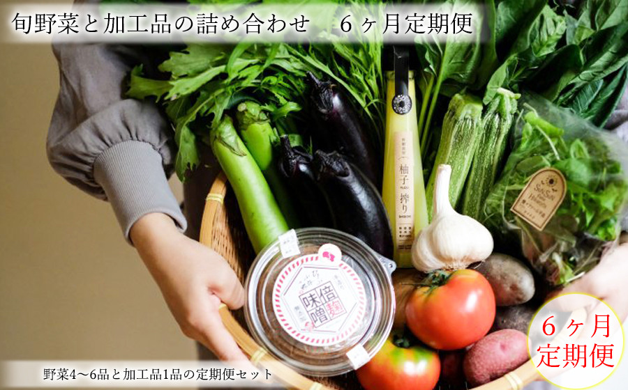 
定期便 曽爾村の旬野菜と加工品の詰め合わせ 6ヶ月定期便 // 野菜 加工品 6ヶ月定期便
