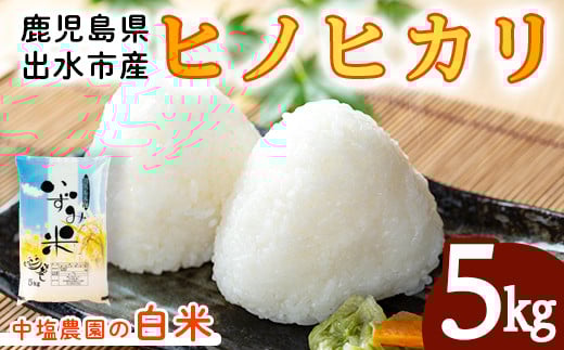 i1079-A 鹿児島県 出水市産 ヒノヒカリ (5kg) 米 5kg ひのひかりヒノヒカリ 鹿児島 5キロ お米 九州 九州産 甘み あっさり もちもち 【いずみキッチン】