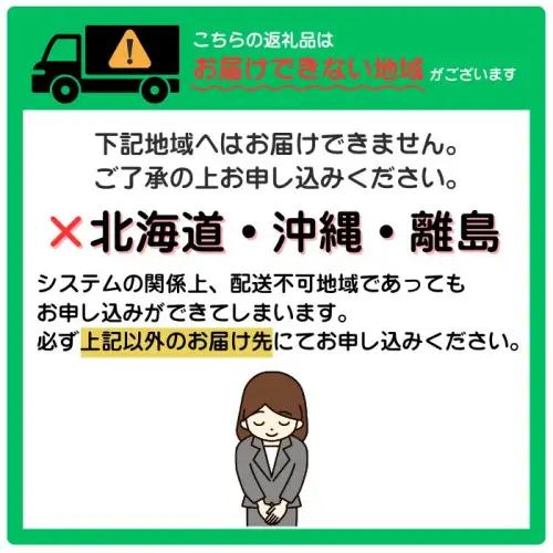 ZG297.【背ワタ処理済み】大型バナメイむきえび約600g（1パック）