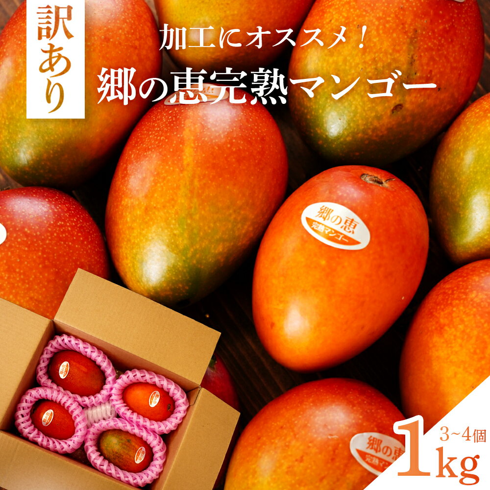 【ふるさと納税】 【 訳あり 】大崎 完熟 マンゴー「 郷の恵 （ さとのめぐみ ） 」 加工用マンゴー 1kg | 訳あり マンゴー スムージー サラダ アイス シャーベット 果物 くだもの フルーツ 果実 ふるさと納税 鹿児島 大崎町 ふるさと 人気 送料無料