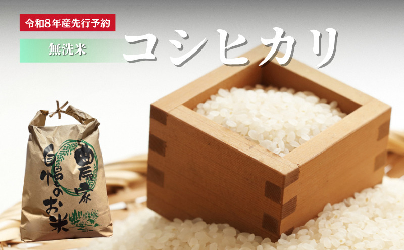 【先行予約】無洗米令和8年産 コシヒカリ 5kg 【 お米 米 コメ 精米 南丹市 】 新米26