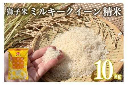 【令和7年産】獅子米 ミルキークイーン 精米 10kg 岡田ファーム お米 白米 米 おこめ ブランド米 ミルキー 10キロ 国産 単一原料米 コメ こめ ご飯 銘柄米 茨城県産 茨城 産直 産地直送 農家直送 ごはん 家庭用 贈答用 お取り寄せ ギフト 茨城県 石岡市 (B02-006)