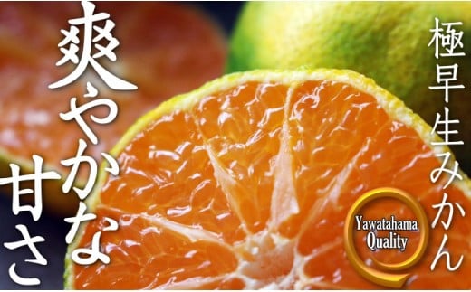 
            露地の初物「極早生みかん」 約5kg＜C28-26＞【1125792】
          
