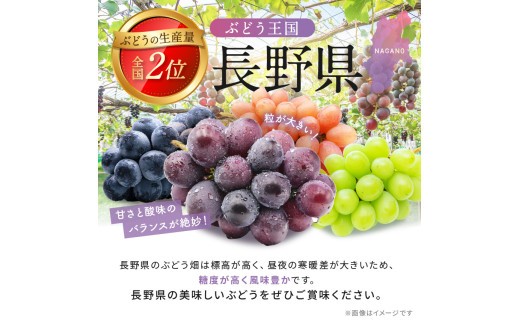 ブドウ王国 長野県から ごきげん果実♪ をお届けします
