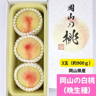 岡山の白桃(晩生種)　大玉3玉(約900g)【配送不可地域：離島】