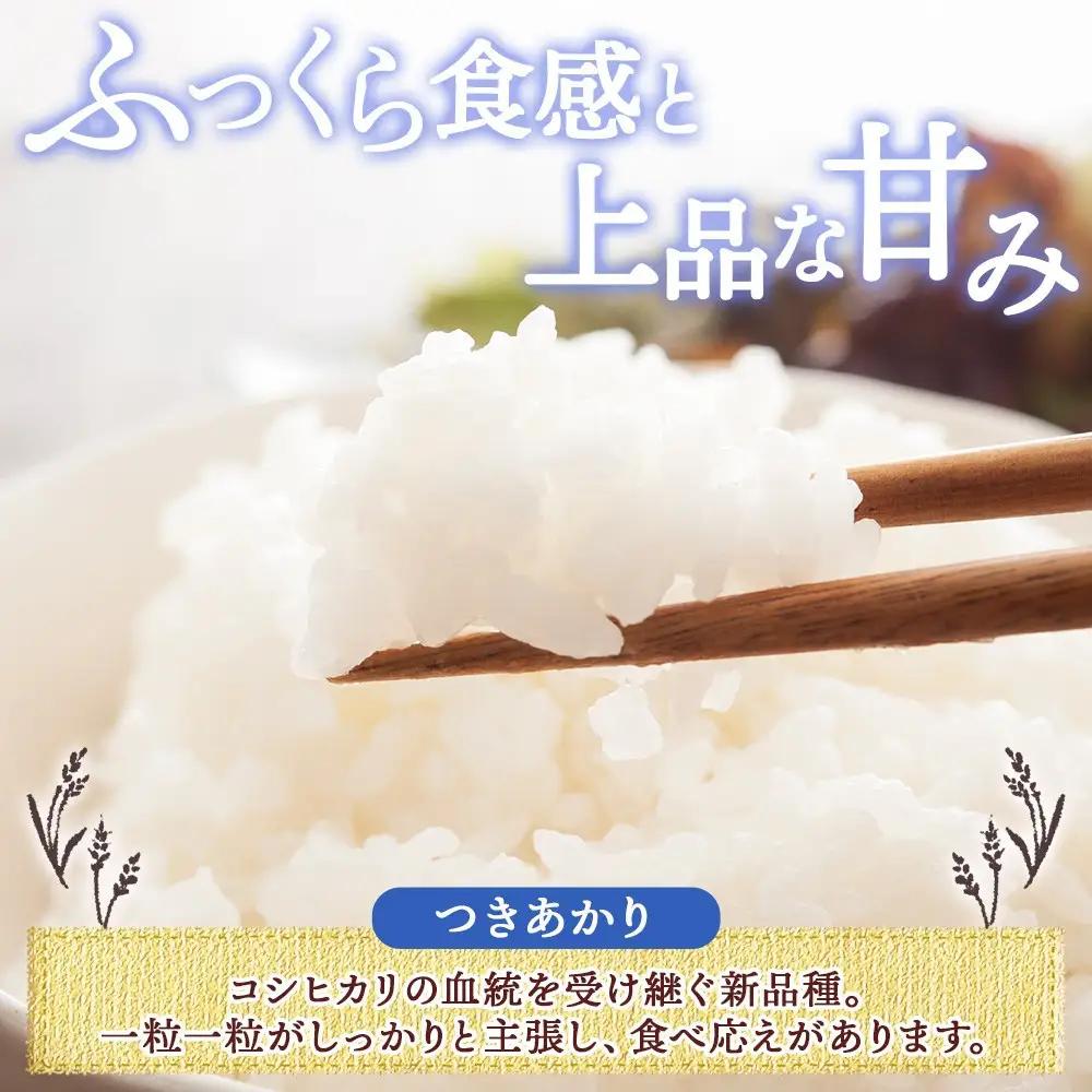 【2026年10月発送】令和8年産 つきあかり 無洗米 10kg×1袋 長野県産 米 精米 お米 ごはん ライス 甘み 農家直送 産直 信州 人気 ギフト お取り寄せ 平林農園 送料無料 長野県 大町