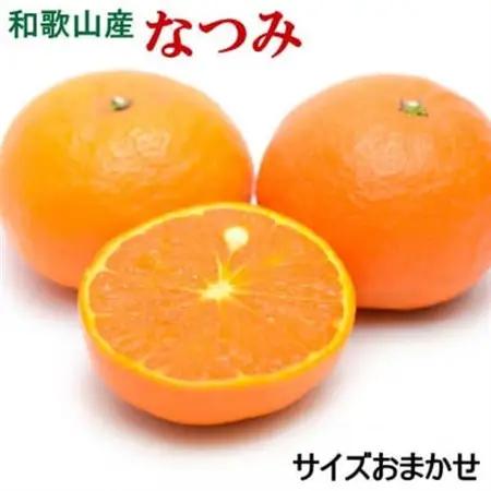 2027年4月より発送予定【希少柑橘】和歌山産　なつみ約5kg(S～2Lサイズおまかせ)【日高町】【1217617】