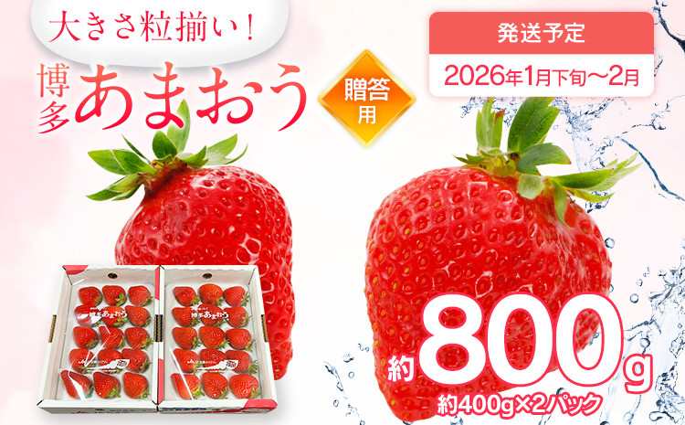 
            先行予約 あまおう 合計約800g 約400g×2パック（１パックあたり、9玉～18玉） 福岡県産 九州 イチゴ いちご 苺 果物 くだもの フルーツ 送料無料 【2026年1月下旬～2026年2月順次発送】
          