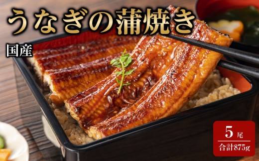 
                  国産うなぎの蒲焼き 5尾（合計875g）
                