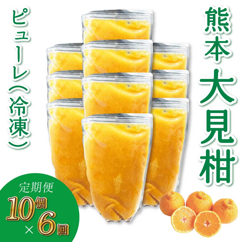 【ふるさと納税】【定期便6回】熊本大見柑ピューレ(冷凍) 1kg入り 10個 不知火 不知火果汁 しらぬい デコポンと同品種 ジュース アイス お菓子 料理 爽やか 柑橘 果物 くだもの フルーツ 熊本県産 九州産 国産 宇城市産 株式会社la Nui.