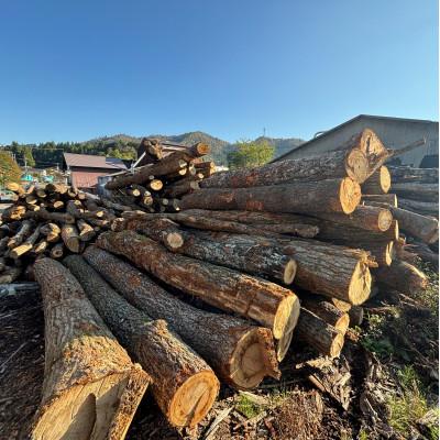 ふるさと納税 南丹市 南丹市 美山町産 ナラ 乾燥薪 30kg 40cm |  | 02