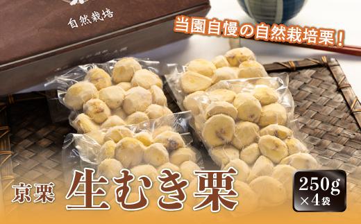 《2024年12月発送》京栗生むき栗 1kg（250g×4袋）【 京都 綾部 丹波栗 自然栽培 農家直送 国産 無農薬 果物 フルーツ くり 栗 小分け 個包装 】