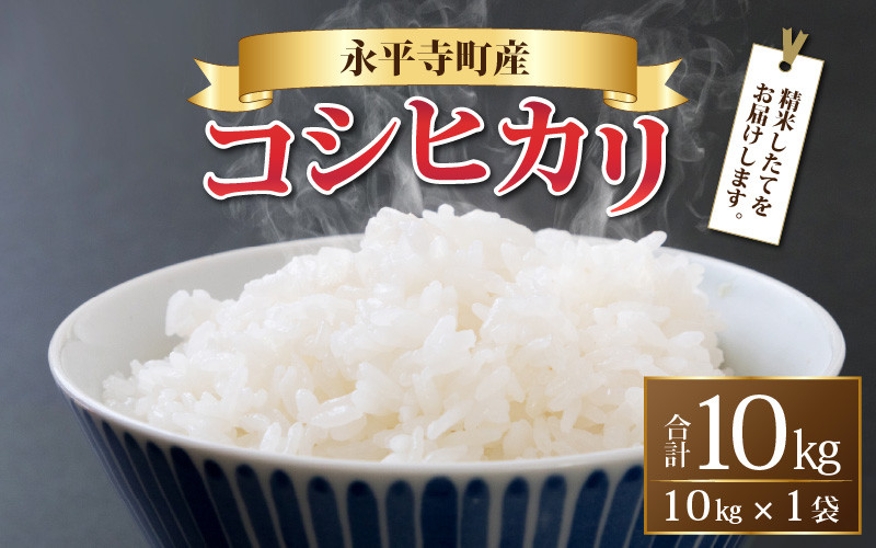 
            【先行予約】【白米】 令和７年度産 永平寺町産 コシヒカリ 10kg 【10月上旬より順次発送開始予定】米 精米 米 お米 コメ 送料無料 こしひかり 福井 [B-033005]　
          