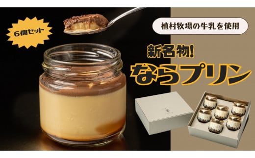 新しい新名物！ならプリン誕生！６個セット 濃厚 プリン スイーツ プリン なめらか プリン 食べ比べ プリン 奈良 プリン 洋菓子 こだわり プリン 土産 プリン 冷蔵 プリン 贈り物 プリン こだわ