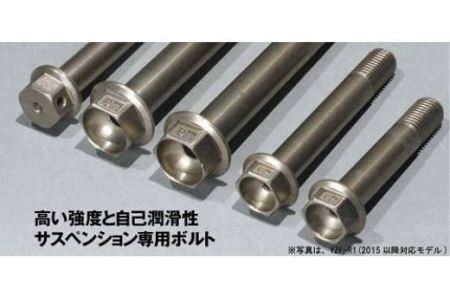 【C-26】Zero Point Link（商品色：シャンパンゴールド）【5本用】ゼロポイントシャフト