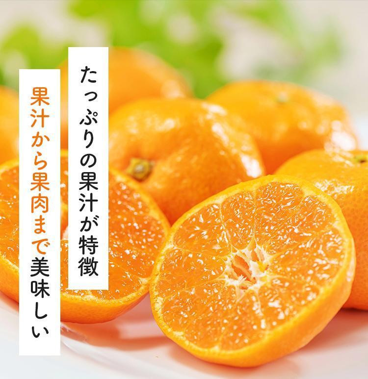 ［先行予約］ご家庭用 完熟有田みかん 約3kg［2025年12月発送予定］訳あり 農家直送［MS3-2］
