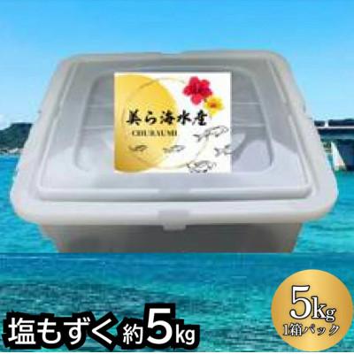 ふるさと納税 うるま市 【美ら海水産】塩もずく(約5kg)