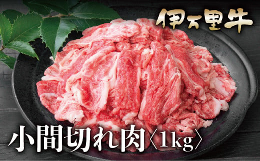 
伊万里牛 A5 切り落とし 1kg （500g×2）小分け J231
