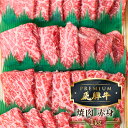 【ふるさと納税】最飛び牛 飛騨牛 赤身 焼肉 1kg 5等級 A5 うでorもも 牛肉 和牛 ブランド牛 プレミアム ごちそう 贅沢飛騨牛 肉の沖村[Q1697]12万円 120000円