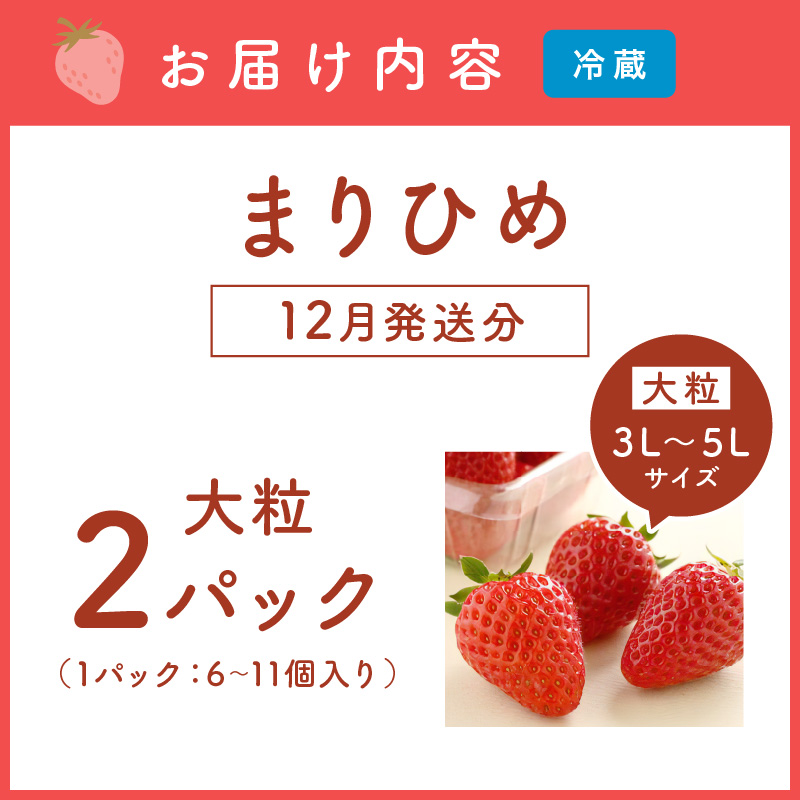 和歌山生まれのイチゴ（まりひめ）大粒2パック12月発送分《先行予約》【0049-4】