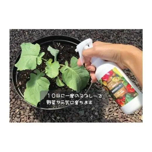 【 農業セット 】 農業セット家庭菜園