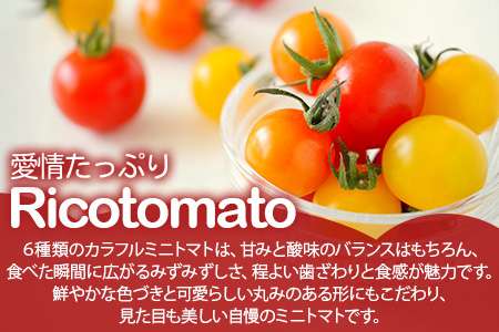 【先行予約】 たにぐちファーム カラフルミニトマト 約1kg 『Ricotomato とりこになるトマト』 B-280