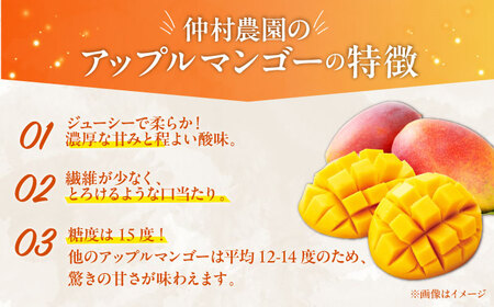  【贈答用】最優秀賞受賞！完熟アップルマンゴー2kg マンゴー 沖縄市 / 仲村農園 マンゴー マンゴー マンゴー マンゴー マンゴー[BCCU001]