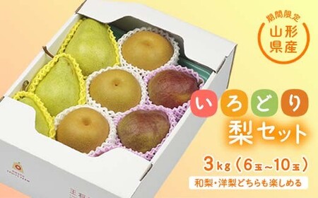 《先行予約 2023年度発送》【王将果樹園】いろどり梨セット