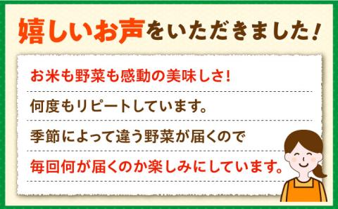 壱岐産米 旬の野菜 セット つや姫5kg 旬の野菜5品《壱岐市》【壱岐市農業協同組合】[JBO003] 新鮮 やさい ベジタブル 食材 詰合せ お米 ごはん 12000 12000円