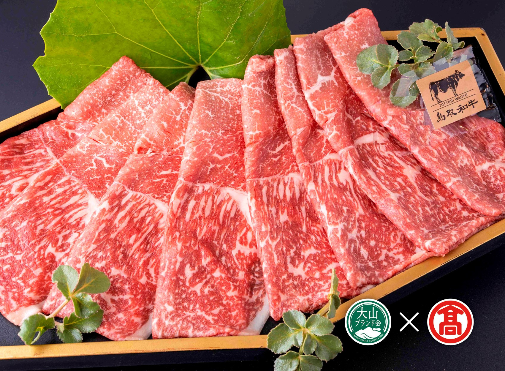 
            CE5＜皆生菊乃家＞鳥取和牛　A4ランク以上　サーロインしゃぶしゃぶすき焼き用（大山ブランド会）
          