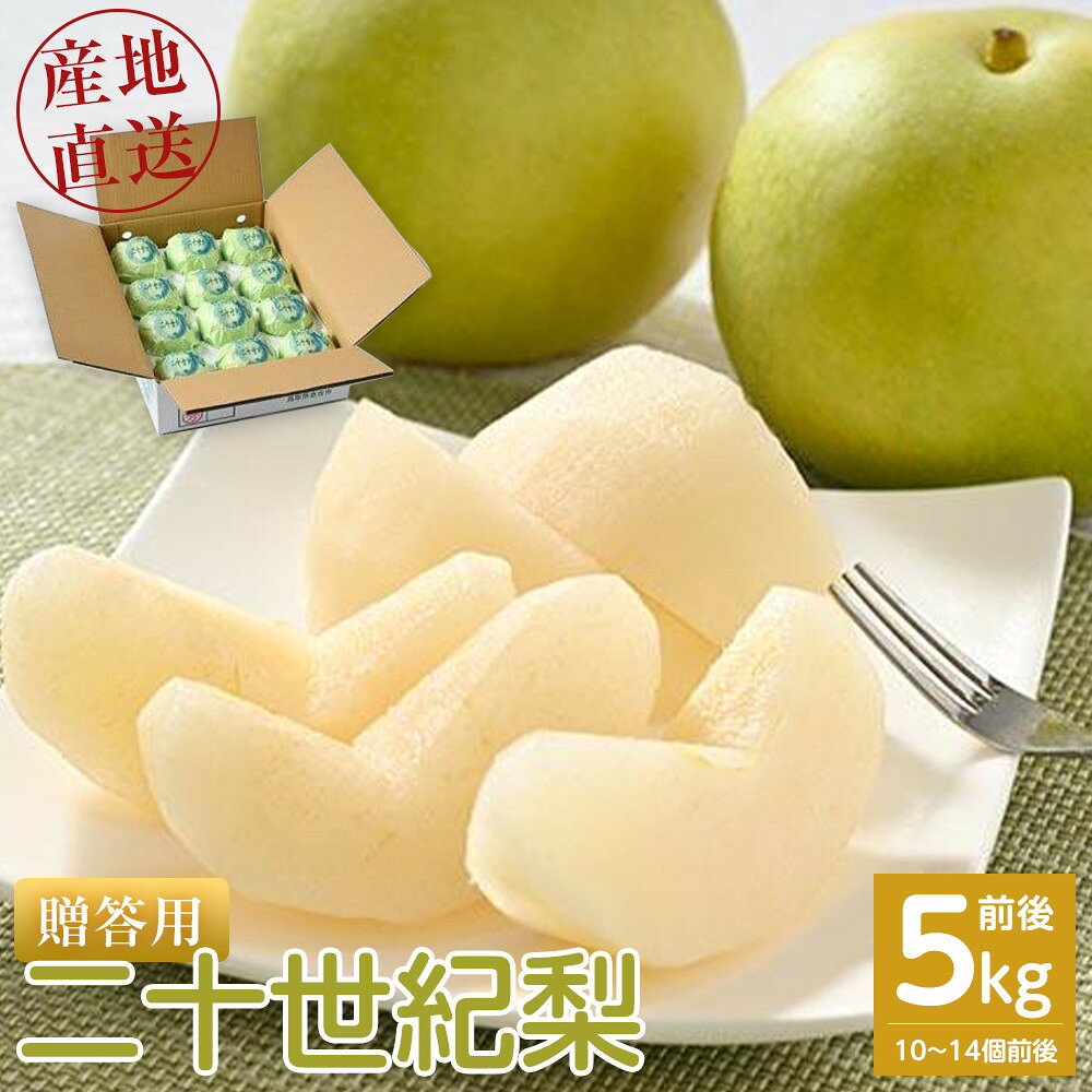 【ふるさと納税】【先行予約】【贈答用】 二十世紀梨 5kg前後 (10個～14個前後) 鳥取県産 ※着日指定不可※2026年8月下旬～9月中旬頃に順次発送予定 | 梨 なし ギフト 5kg 新鮮 2026年 令和8年 二十世紀 鳥取県 北栄町 おすすめ 人気 大容量 国産 送料無料