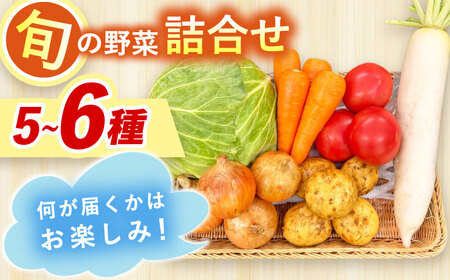 採れたてお野菜おまかせセット（5～6種）/ 野菜 やさい 野菜セット 野菜詰め合わせ 詰め合わせ セット / 大村市 / かとりストアー[ACAN104]