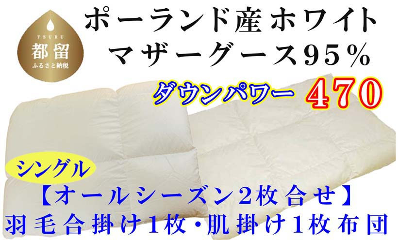 
            羽毛合い掛け・ 肌布団2枚組ポーランド産マザーグース９５％ 合掛け シングル150×210cm dp470
          