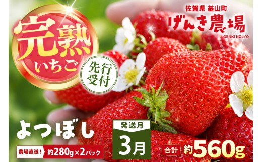 【2027年3月発送】【先行予約】【農場直送！】よつぼし(約280g×2P)【ふるさと納税 佐賀県 基山町産 げんき農場 苺 ブランド苺 イチゴ いちご フルーツ 果物 くだもの 美味しい おいしい 甘い ストロベリー 産地直送 朝採れ 完熟果 KBCテレビ「ふるさとwish」で紹介されました】K100091