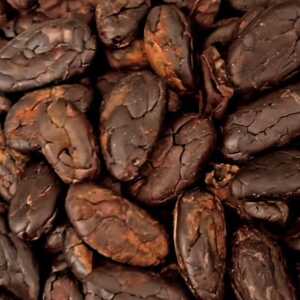 クラフトチョコ【配送不可地域：離島】【1677358】