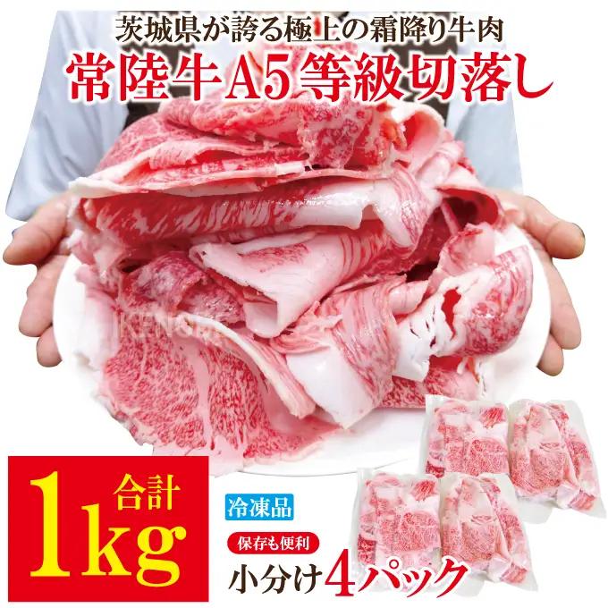 牛肉 切り落し 計1kg  [500g×2パック]  国産 霜降り すき焼き 常陸牛 A5等級 【ho1561-1】