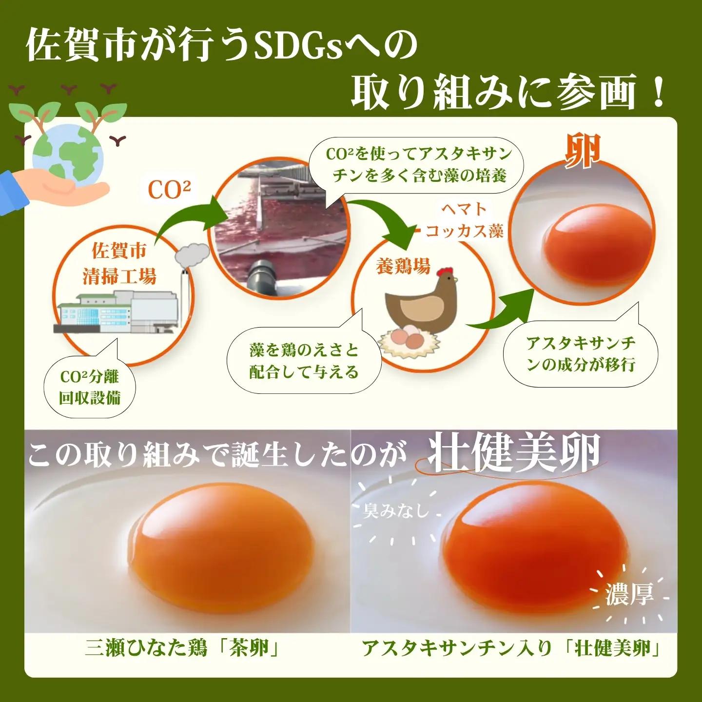 【定期便12回】平飼いたまご 三瀬ひなた鶏舎 「壮健美卵」35個＋割れ保証5個（計40個）：C150-052