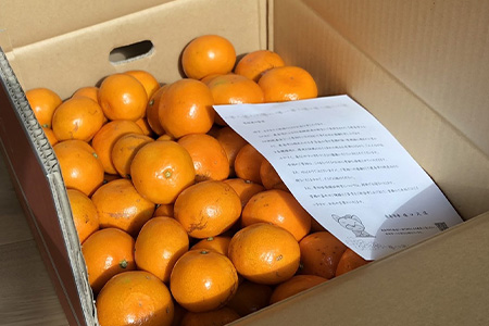 【先行予約】（2026年11月上旬～発送）”わーがと”鹿島産がばい訳アリみかん 約10kg【サイズ別】 【期日指定不可】みかん ミカン 蜜柑 柑橘 果物 フルーツ 甘い ふるさと納税 佐賀県 鹿島市 