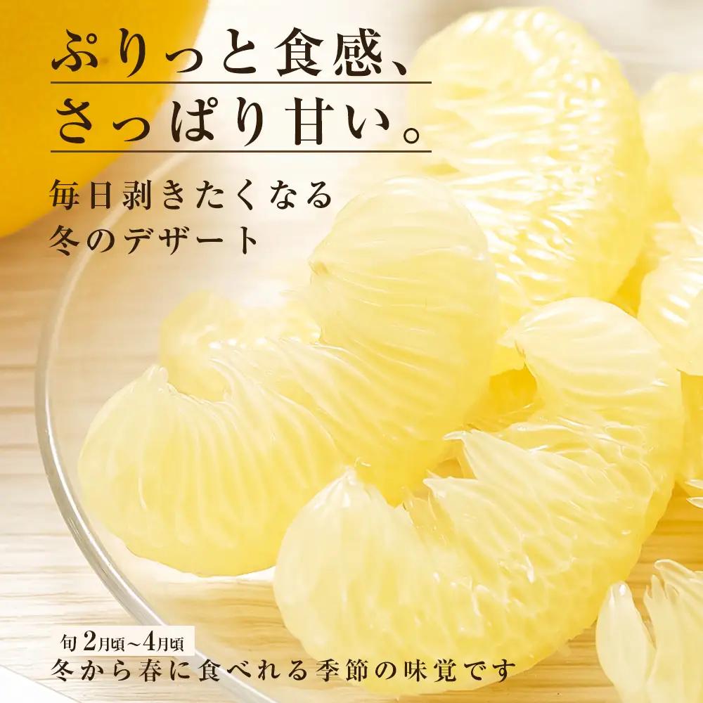 【ふるなびWEEK対象】先行予約 訳あり 土佐文旦 家庭用 約5kg 約8～15玉 M～5L混合サイズ 高知県産 FN-Limited-WE