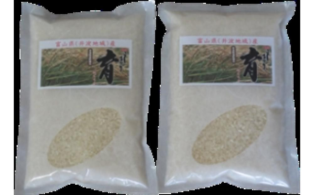 
【令和6年産】使いきりパック 富山県産こしひかり 　育（はぐくみ） 白米450ｇ（３合）２個セット《南砺の逸品》
