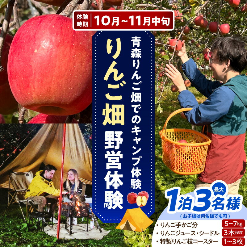 【ふるさと納税】野営体験 りんご畑 キャンプ 【 1泊 1組 】 青森りんご 【 セット内容 ： りんご 5kg 〜 7kg 程度 / りんごジュース 1本 / シードル 2本 / りんごの木の コースター と スウェーデントーチ / 林檎 収穫 】 青森県 五所川原市 リンゴ