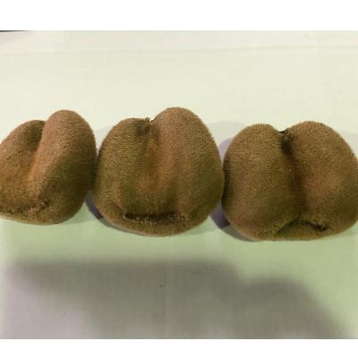 ふるさと納税 さぬき市 訳あり香緑キウイ　約1.5kg |  | 01
