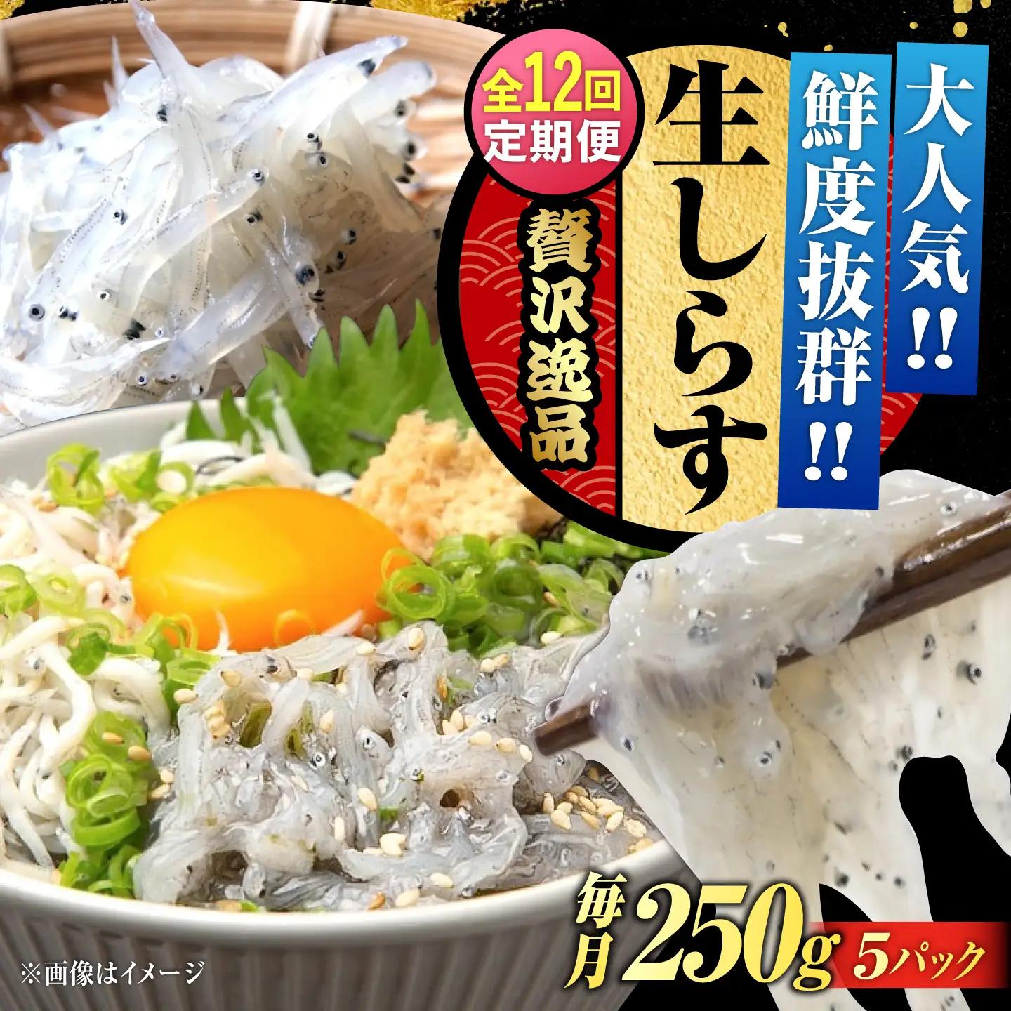 【全12回】冷凍生しらす50g×5個 しらす[XCN013]