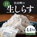 【ふるさと納税】【愛媛県産・鮮度に自信あり！】生しらす50g×88パック｜ 愛媛県産 伊方町 佐田岬 朝日共販 生しらす 産地直送 極上鮮度 旨味凝縮 贈答用