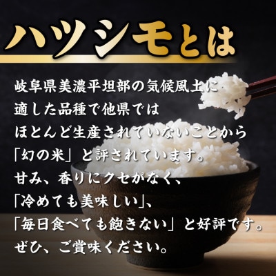 【2ヵ月毎定期便】岐阜県産ハツシモ　10kg(精米5kg×2袋)全6回【4059936】