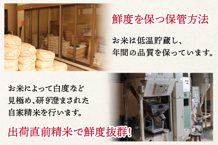 【令和5年産】いちほまれ 無洗米 2kg×3袋（計6kg）《お米マイスターが発送直前に精米！》 ／ 福井県産 ブランド米 ご飯 白米 新鮮