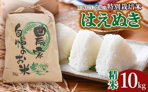 【令和7年産米 先行予約】庄内おばこ農場の特別栽培米 はえぬき【精米】10kg（10kg×1袋）　K-775