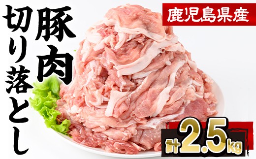 
                  鹿児島県産豚肉切り落とし(計2.5kg・250g×10P)豚肉 切り落とし 小分け【株式会社羽根】A1087
                