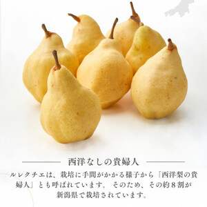 弥彦産「西洋なしの貴婦人」ルレクチエ　5～7玉(2kg) 新潟県 弥彦村_ルレクチェ ル・レクチェ 西洋梨 なし 2kg_【配送不可地域：離島・北海道・沖縄県・中国・四国・九州】【1131641】
